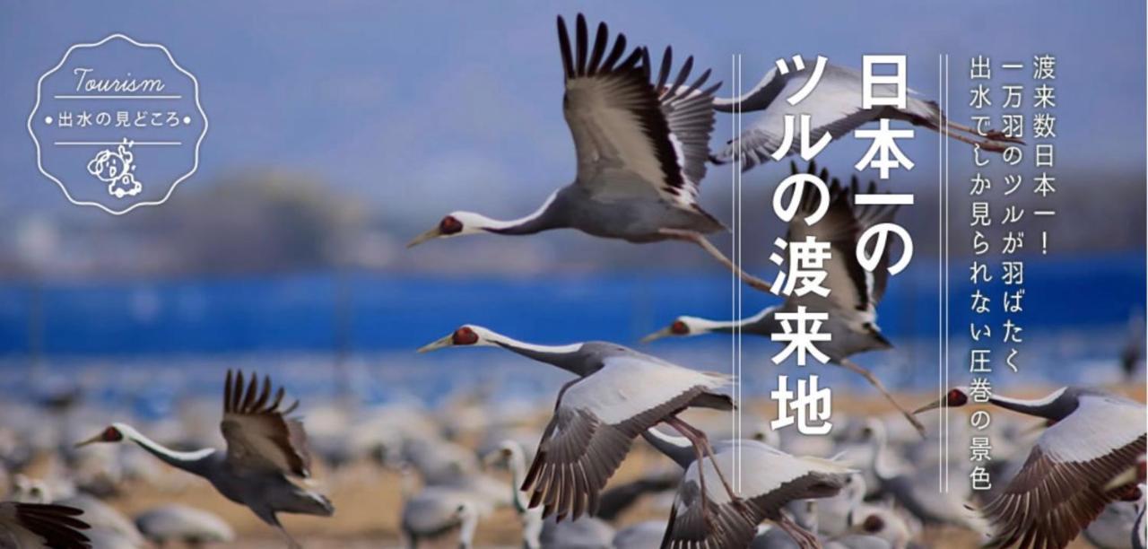カモンイン 寿 Izumi  Ngoại thất bức ảnh